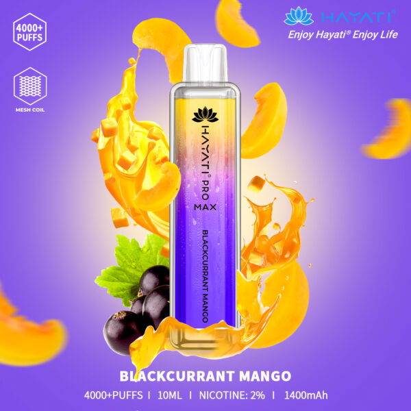 Hayati Pro Max 4000 - Blackcurrant Mango