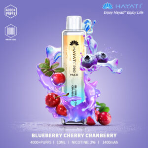 Hayati Pro Max 4000 - Blueberry Cherry Cranberry