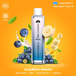 Hayati Pro Max 4000 Blueberry Banana